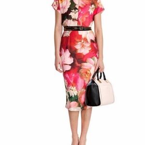 Ted Baker Cocoe Rose On Canvas Print Dress